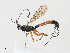  ( - CBG-A35151-D05)  @11 [ ] CreativeCommons - Attribution Share - Alike (2024) CBG Photography Group Centre for Biodiversity Genomics