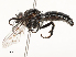  ( - CBG-A54473-E08)  @11 [ ] CreativeCommons - Attribution Share - Alike (2024) CBG Photography Group Centre for Biodiversity Genomics