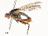  ( - CBG-A54473-E11)  @11 [ ] CreativeCommons - Attribution Share - Alike (2024) CBG Photography Group Centre for Biodiversity Genomics