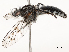  ( - CBG-A54473-F04)  @11 [ ] CreativeCommons - Attribution Share - Alike (2024) CBG Photography Group Centre for Biodiversity Genomics