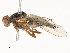  ( - CBG-A54473-H08)  @11 [ ] CreativeCommons - Attribution Share - Alike (2024) CBG Photography Group Centre for Biodiversity Genomics