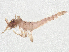  ( - CBG-A61850-B08)  @11 [ ] CreativeCommons - Attribution Share Alike (2025) CBG Photography Group Centre for Biodiversity Genomics