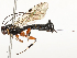  ( - CBG-A62838-B09)  @11 [ ] CreativeCommons - Attribution Share - Alike (2025) CBG Photography Group Centre for Biodiversity Genomics