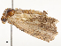  ( - CBG-A62838-F01)  @11 [ ] CreativeCommons - Attribution Share - Alike (2025) CBG Photography Group Centre for Biodiversity Genomics