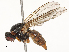  ( - CBG-A62839-C10)  @11 [ ] CreativeCommons - Attribution Share - Alike (2025) CBG Photography Group Centre for Biodiversity Genomics