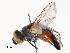  ( - CBG-A62839-C11)  @11 [ ] CreativeCommons - Attribution Share - Alike (2025) CBG Photography Group Centre for Biodiversity Genomics