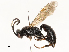  ( - CBG-A62839-D02)  @11 [ ] CreativeCommons - Attribution Share - Alike (2025) CBG Photography Group Centre for Biodiversity Genomics