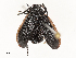  ( - CBG-A62839-E10)  @11 [ ] CreativeCommons - Attribution Share - Alike (2025) CBG Photography Group Centre for Biodiversity Genomics