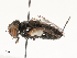  ( - CBG-A62839-G03)  @11 [ ] CreativeCommons - Attribution Share - Alike (2025) CBG Photography Group Centre for Biodiversity Genomics