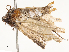  ( - CBG-A62840-G05)  @11 [ ] CreativeCommons - Attribution Share - Alike (2025) CBG Photography Group Centre for Biodiversity Genomics