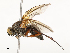  ( - CBG-A62841-B02)  @11 [ ] CreativeCommons - Attribution Share - Alike (2025) CBG Photography Group Centre for Biodiversity Genomics