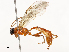  ( - CBG-A62841-C06)  @11 [ ] CreativeCommons - Attribution Share - Alike (2025) CBG Photography Group Centre for Biodiversity Genomics