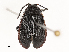  ( - CBG-A62841-F04)  @11 [ ] CreativeCommons - Attribution Share - Alike (2025) CBG Photography Group Centre for Biodiversity Genomics