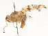  ( - CBG-A62841-H03)  @11 [ ] CreativeCommons - Attribution Share - Alike (2025) CBG Photography Group Centre for Biodiversity Genomics