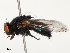  ( - CBG-B14650-A10)  @11 [ ] CreativeCommons - Attribution Share - Alike (2025) CBG Photography Group Centre for Biodiversity Genomics