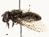  ( - CBG-B14650-D08)  @11 [ ] CreativeCommons - Attribution Share - Alike (2025) CBG Photography Group Centre for Biodiversity Genomics