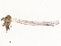  ( - CBG-B14650-H10)  @11 [ ] CreativeCommons - Attribution Share - Alike (2025) CBG Photography Group Centre for Biodiversity Genomics