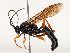  ( - CBG-B14651-B07)  @11 [ ] CreativeCommons - Attribution Share - Alike (2025) CBG Photography Group Centre for Biodiversity Genomics