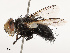  ( - CBG-B14651-D03)  @11 [ ] CreativeCommons - Attribution Share - Alike (2025) CBG Photography Group Centre for Biodiversity Genomics