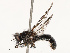  ( - CBG-B14651-E11)  @11 [ ] CreativeCommons - Attribution Share - Alike (2025) CBG Photography Group Centre for Biodiversity Genomics
