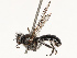  ( - CBG-B14651-F06)  @11 [ ] CreativeCommons - Attribution Share - Alike (2025) CBG Photography Group Centre for Biodiversity Genomics