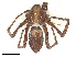  ( - CBG-B14651-H11)  @11 [ ] CreativeCommons - Attribution Share - Alike (2025) CBG Photography Group Centre for Biodiversity Genomics