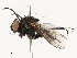  ( - CBG-B14653-C06)  @11 [ ] CreativeCommons - Attribution Share - Alike (2025) CBG Photography Group Centre for Biodiversity Genomics
