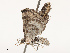  ( - CBG-B14653-E12)  @11 [ ] CreativeCommons - Attribution Share - Alike (2025) CBG Photography Group Centre for Biodiversity Genomics