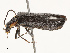  ( - CBG-B14767-D12)  @11 [ ] CreativeCommons - Attribution Share - Alike (2025) CBG Photography Group Centre for Biodiversity Genomics