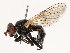  ( - CBG-B14767-F02)  @11 [ ] CreativeCommons - Attribution Share - Alike (2025) CBG Photography Group Centre for Biodiversity Genomics