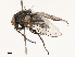  ( - CBG-B14767-F09)  @11 [ ] CreativeCommons - Attribution Share - Alike (2025) CBG Photography Group Centre for Biodiversity Genomics