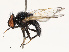  ( - CBG-B14767-G11)  @11 [ ] CreativeCommons - Attribution Share - Alike (2025) CBG Photography Group Centre for Biodiversity Genomics