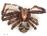  ( - CBG-B14767-H05)  @11 [ ] CreativeCommons - Attribution Share - Alike (2025) CBG Photography Group Centre for Biodiversity Genomics