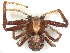  ( - CBG-B14767-H06)  @11 [ ] CreativeCommons - Attribution Share - Alike (2025) CBG Photography Group Centre for Biodiversity Genomics