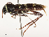  ( - CBG-B14774-E08)  @11 [ ] CreativeCommons - Attribution Share - Alike (2025) CBG Photography Group Centre for Biodiversity Genomics