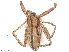  ( - CBG-B14774-H11)  @11 [ ] CreativeCommons - Attribution Share - Alike (2025) CBG Photography Group Centre for Biodiversity Genomics
