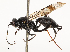  ( - CBG-B14778-E11)  @11 [ ] CreativeCommons - Attribution Share - Alike (2025) CBG Photography Group Centre for Biodiversity Genomics