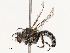  ( - CBG-B14783-H03)  @11 [ ] CreativeCommons - Attribution Share - Alike (2025) CBG Photography Group Centre for Biodiversity Genomics