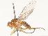  ( - CBG-B14788-C08)  @11 [ ] CreativeCommons - Attribution Share - Alike (2025) CBG Photography Group Centre for Biodiversity Genomics