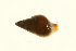  ( - 10BCMOL-00168)  @12 [ ] Unspecified (default): All Rights Reserved  Unspecified Unspecified