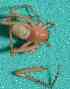  ( - BCMS-0587)  @12 [ ] Unspecified (default): All Rights Reserved  Unspecified Unspecified