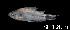  ( - LBPV 46640)  @11 [ ] CreativeCommons - Attribution (2013) Claudio de Oliveira Laboratório de Biologia e Genética de Peixes - UNESP - Botucatu