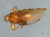 ( - BCAAJN-R22-2)  @12 [ ] CreativeCommons - Attribution (2010) Unspecified Centre for Biodiversity Genomics