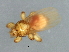  ( - BCAAJN-F4-1)  @13 [ ] CreativeCommons - Attribution (2010) Unspecified Centre for Biodiversity Genomics