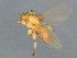  ( - BCAAJN-F4-3)  @13 [ ] CreativeCommons - Attribution (2010) Unspecified Centre for Biodiversity Genomics