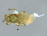  ( - BCAAJN-F4-5)  @13 [ ] CreativeCommons - Attribution (2010) Unspecified Centre for Biodiversity Genomics