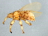  ( - BCAAJN-S54-4)  @14 [ ] CreativeCommons - Attribution (2010) Unspecified Centre for Biodiversity Genomics