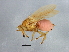  ( - BCAAJN-G29-1)  @13 [ ] CreativeCommons - Attribution (2010) Unspecified Centre for Biodiversity Genomics