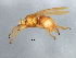  ( - BCAAJN-G29-4)  @13 [ ] CreativeCommons - Attribution (2010) Unspecified Centre for Biodiversity Genomics