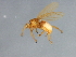  ( - BCAAJN-G18-1)  @13 [ ] CreativeCommons - Attribution (2010) Unspecified Centre for Biodiversity Genomics